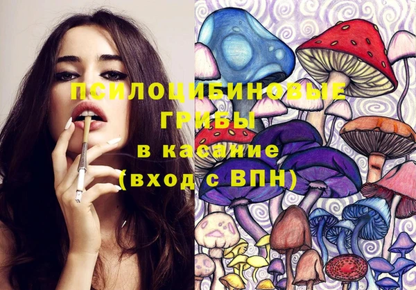 соль ск Дмитров