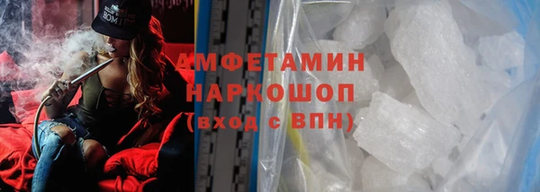 шишки Дмитровск