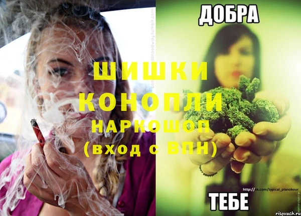соль ск Дмитров