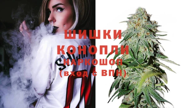 соль ск Дмитров