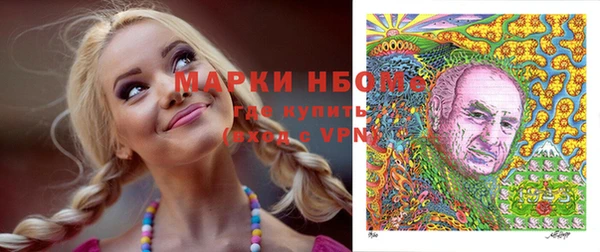 соль ск Дмитров