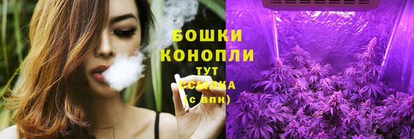 шишки Дмитровск