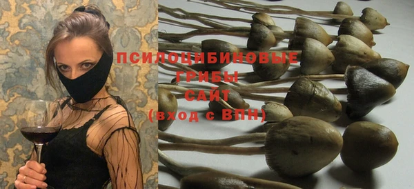 шишки Дмитровск