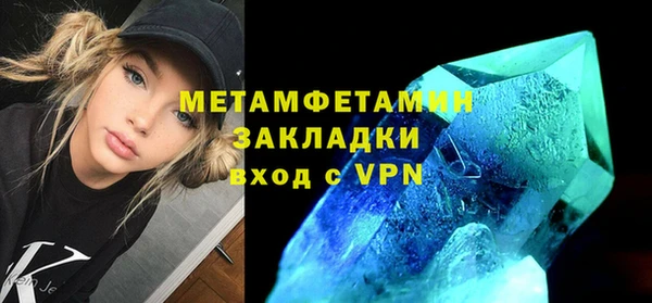 шишки Дмитровск