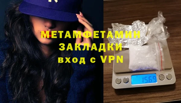 шишки Дмитровск