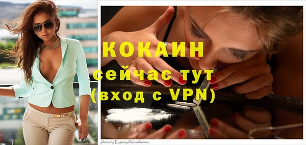 соль ск Дмитров