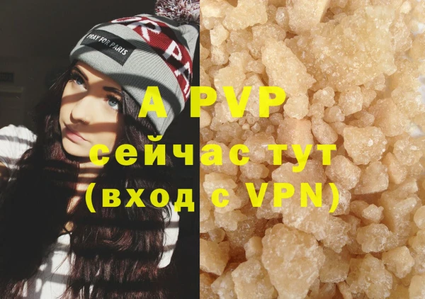 шишки Дмитровск
