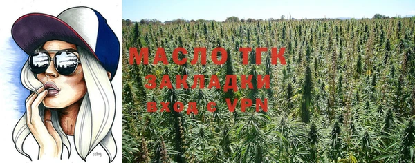 шишки Дмитровск
